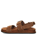 LIANDRA CINNAMON